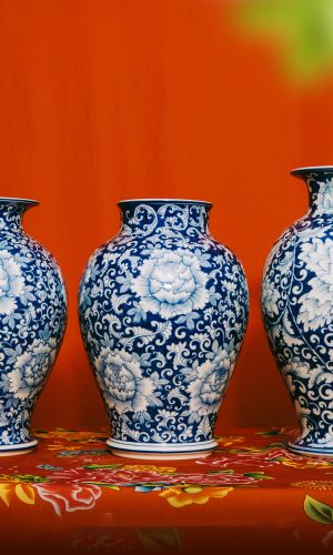 pexels-s-bat-trang-108848915-18646121-min